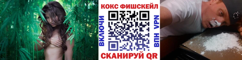 Cocaine FishScale  Барыш 