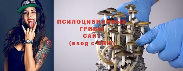 спайс Абаза