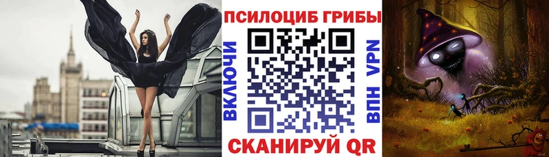 где купить blacksprut ссылки Псилоцибиновые грибы мицелий Барыш